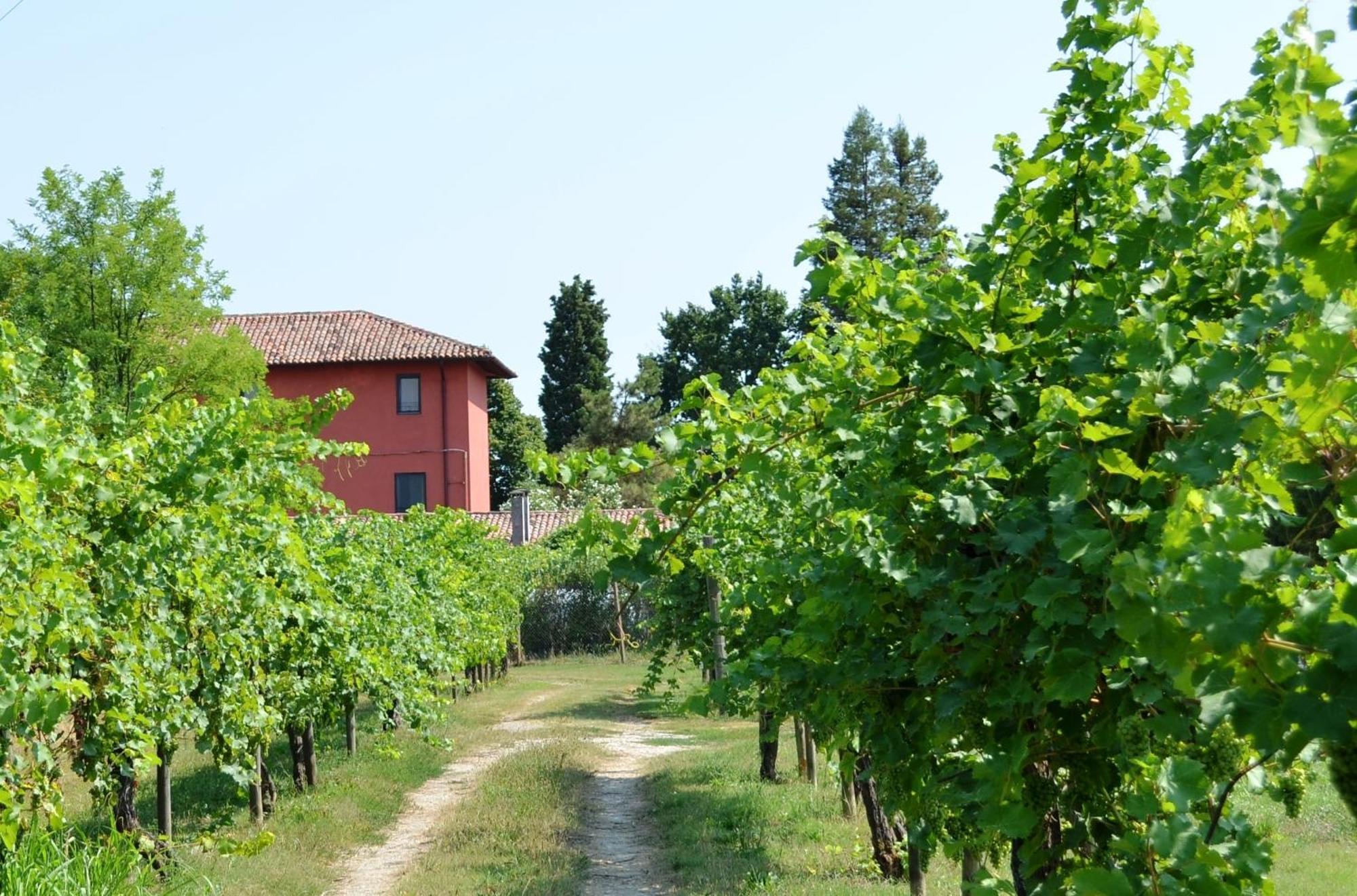 Willa Agriturismo Isola Augusta Palazzolo dello Stella Zewnętrze zdjęcie